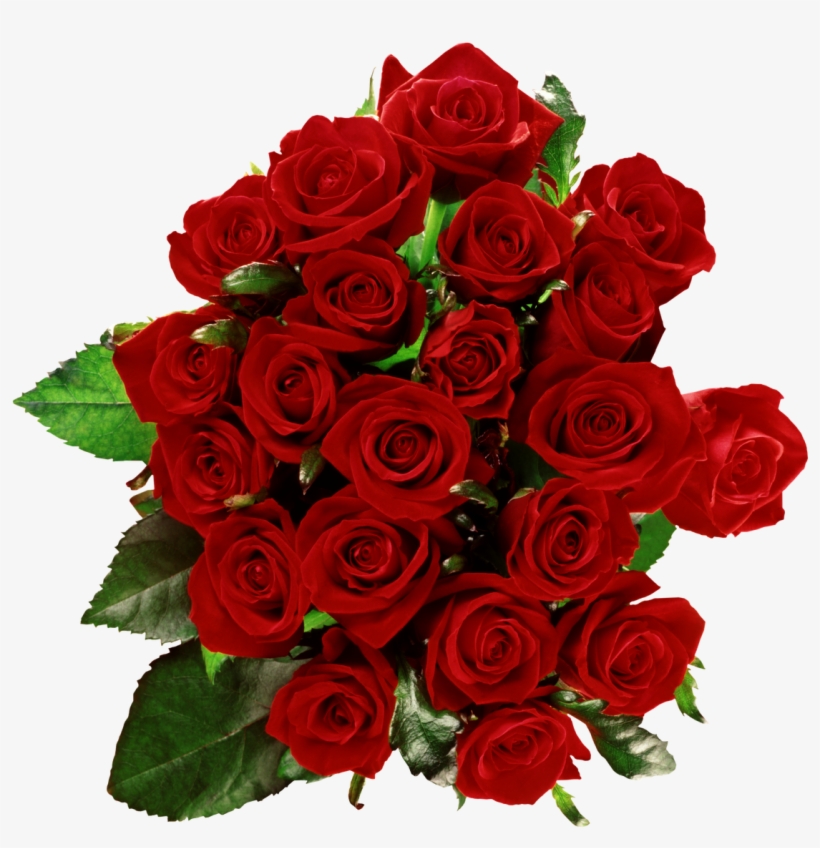 Flores Png, Ramos, Etc, Renders - Rose Flower Photo Download, transparent png #9772688