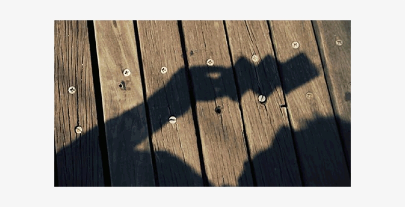 Plank, transparent png #9773366