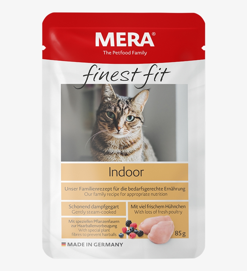 New - Cat, transparent png #9775864