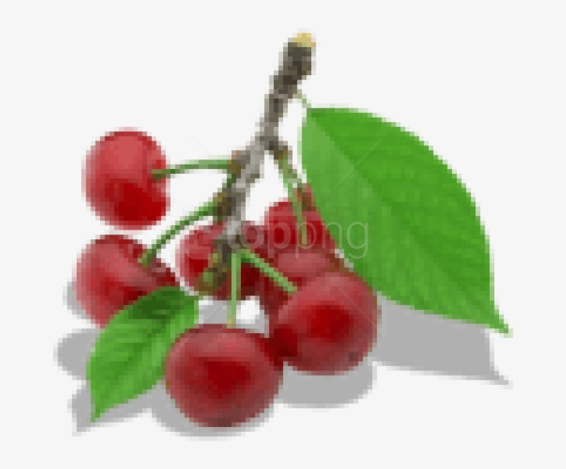 Download Twig Of Cherry Clipart Png Photo - Cherry, transparent png #9776753