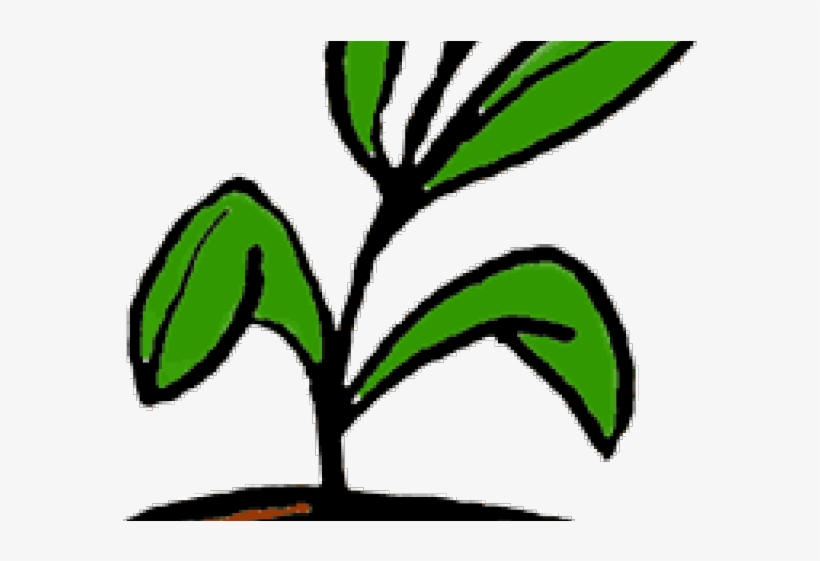 Pot Plant Clipart Office Plant - Plant Clip Art, transparent png #9777773