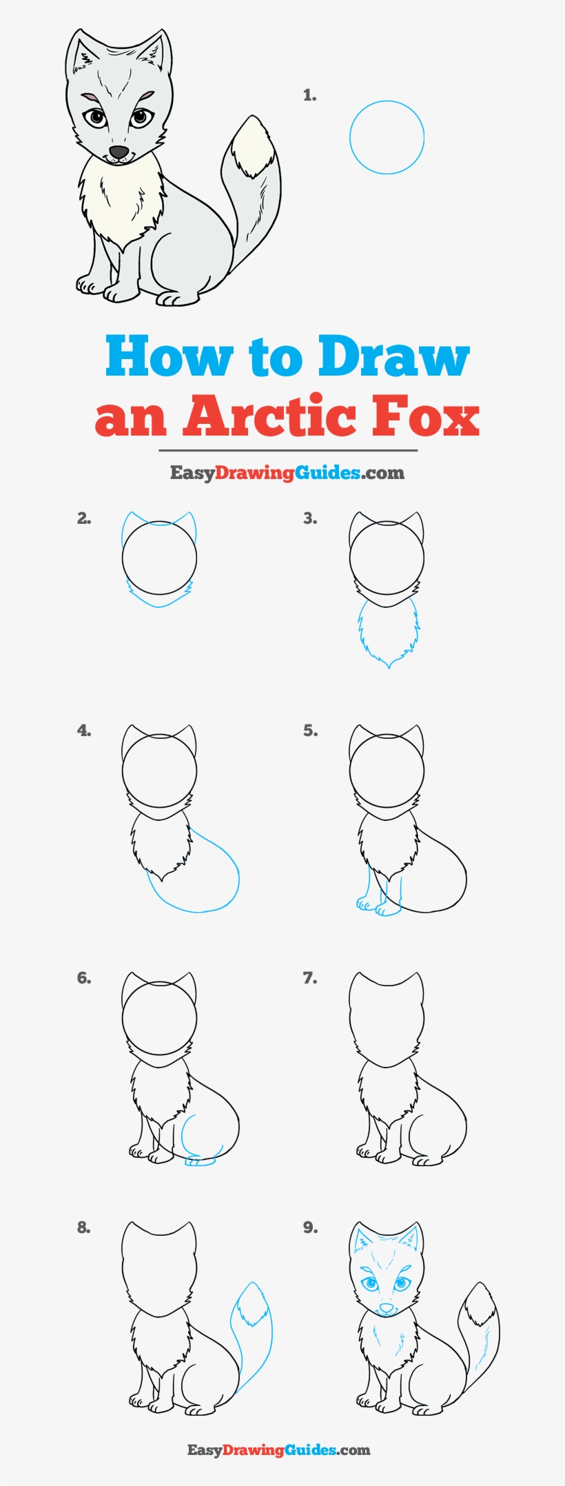 How To Draw Arctic Fox - Draw A Arctic Fox, transparent png #9779420