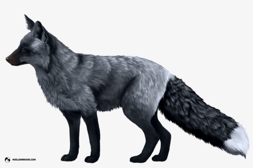Domesticated Red Dog - Red And Silver Fox, transparent png #9779656