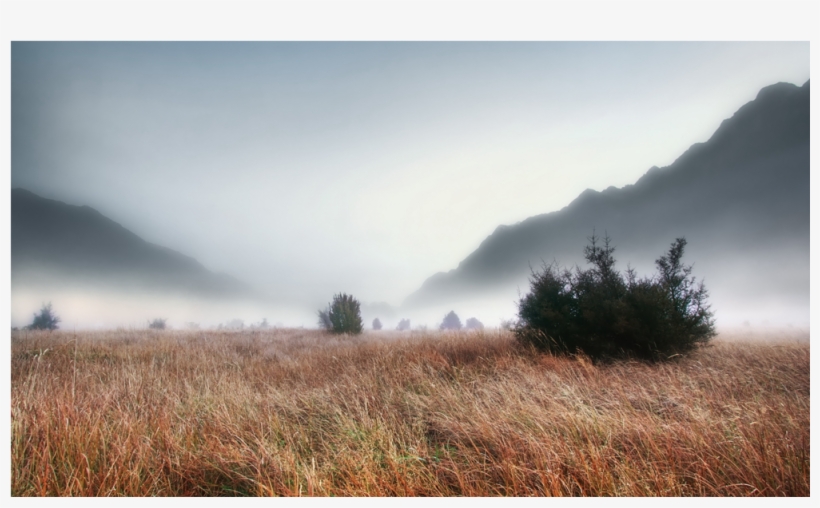 Score 50% - Wallpaper, transparent png #9780317