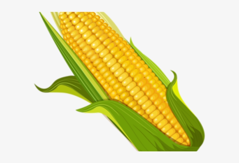 Corn Clipart Elote - Dibujo Elote Png, transparent png #9782529