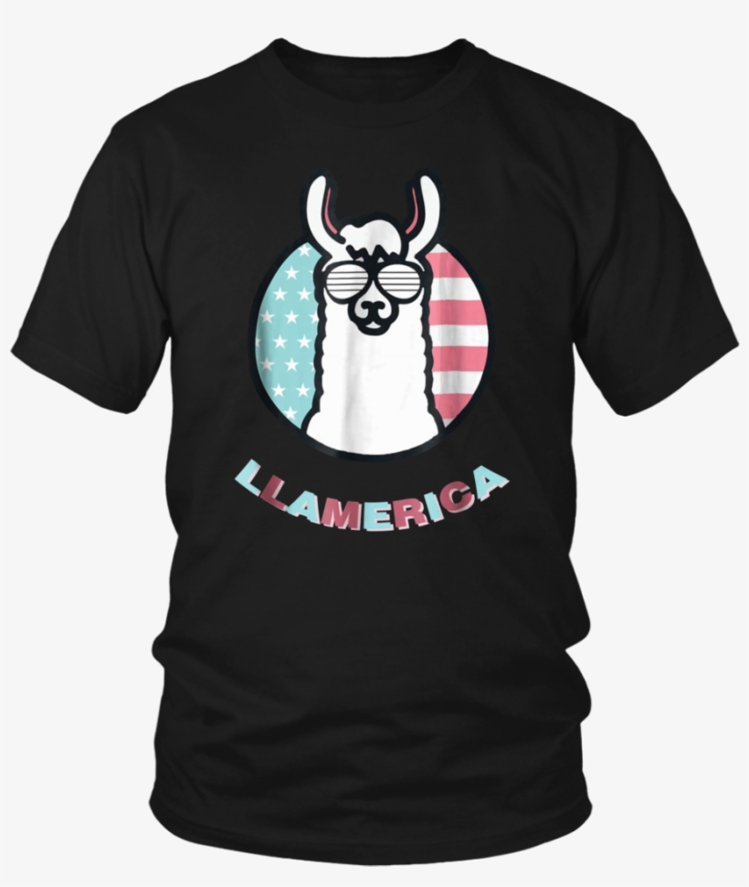 Drama Llama Party Animal Adult Youth Kids Birthday - 39th Birthday Shirt Ideas, transparent png #9784892