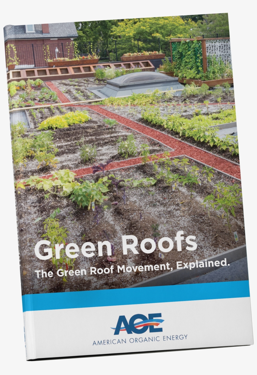 Flyer, transparent png #9785104