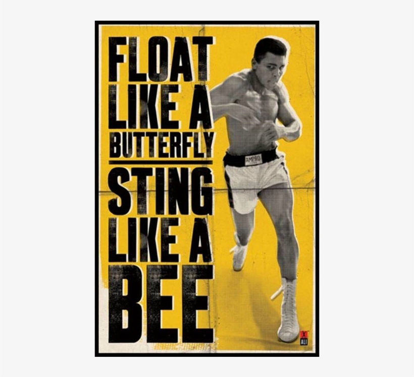 When I Was Around 19 And At University, Muhammed Ali - Poster, transparent png #9786812