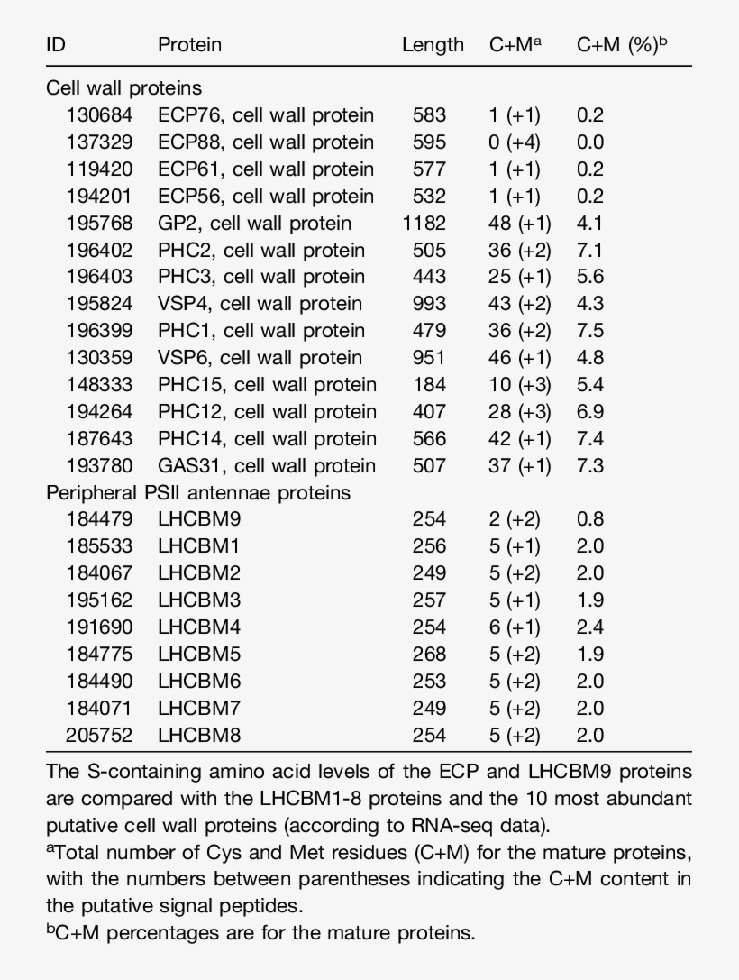 S Containing Amino Acid Content Of Cell Wall And Psii - Document, transparent png #9786977