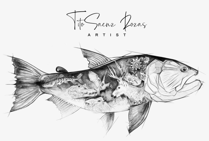 Doradografiti01 - Spotted Weakfish, transparent png #9788449