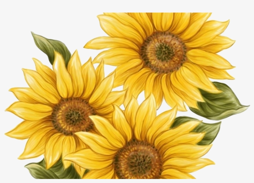 15 Watercolor Sunflower Png For Free Download On Mbtskoudsalg - Sunflower Twenty One Pilots, transparent png #9789240