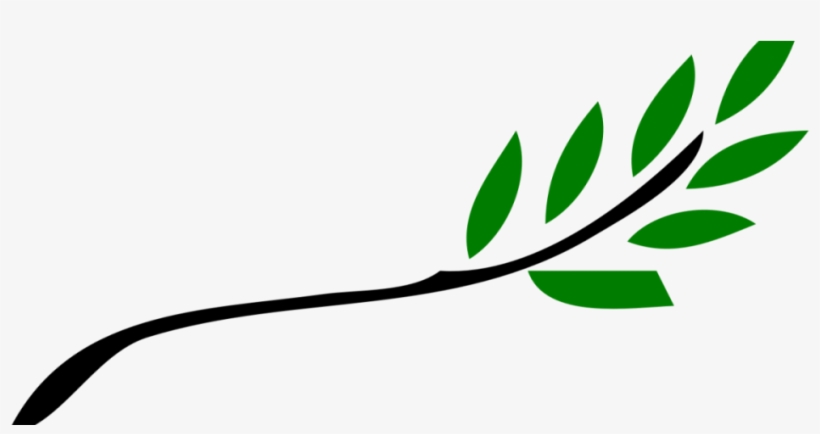 Out On A Limb Woodworking Products From - Olive Tree Branch Clipart, transparent png #9790397