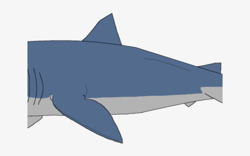 Great White Shark Clipart Sharks And Minnow - Shark Clipart, transparent png #9791223