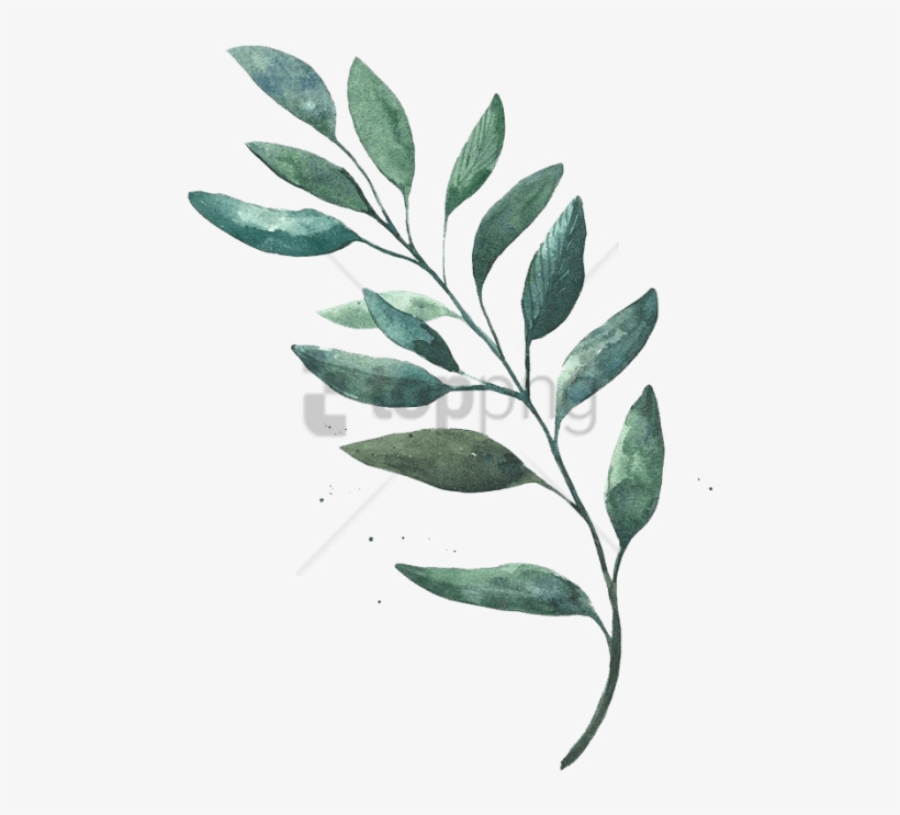 Free Png Download Leaf Watercolor Png Images Background - Transparent Leaves Png Watercolor, transparent png #9794064