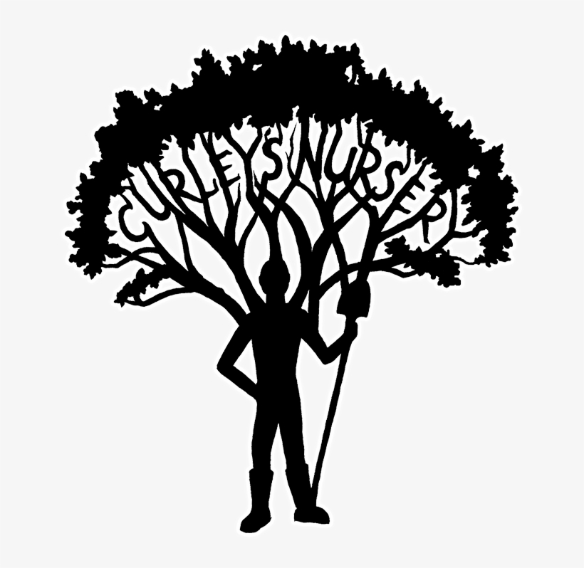 Nursery - Silhouette, transparent png #9794279