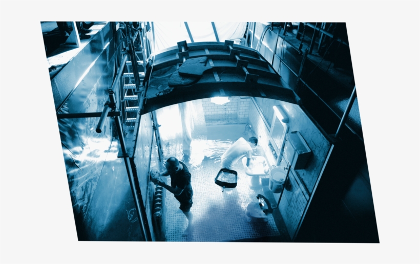 By Shane Mahood/fox Searchlight Features - Architecture, transparent png #9795049