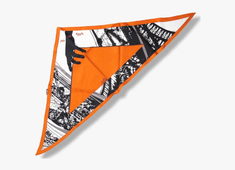 Hermes 2005 Special Issue Orange Boîte Au Vol Twill - Board Short, transparent png #9797234