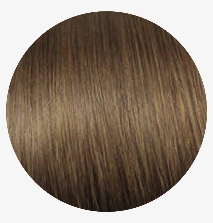 24'' Tape Hair Extensions - Chestnut Brown #6 Zala Hair Extensions, transparent png #9798656