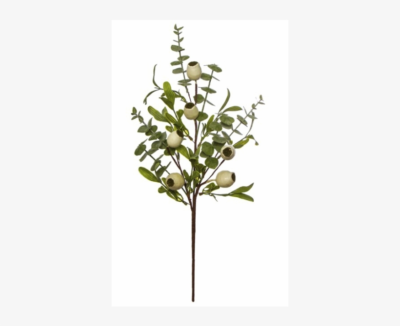 33008314 - Twig, transparent png #9798986