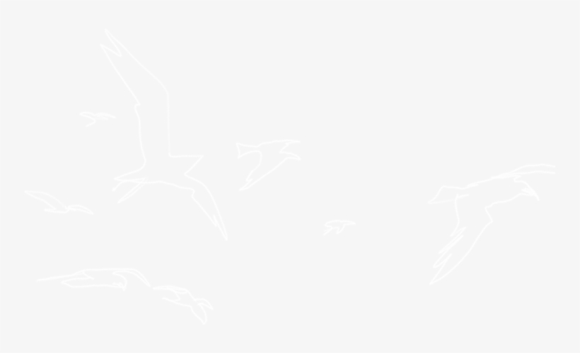 Directs This Visual Diary Of A Generation Stuck Between - Toronto Film Festival Logo White, transparent png #9799602