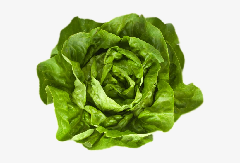 Food At Bookmakers - Butter Lettuce, transparent png #980176
