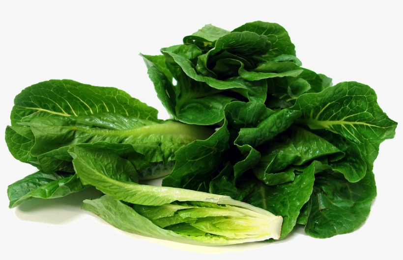 Romaine Lettuce Transparent Image - Romaine Lettuce Png, transparent png #980826