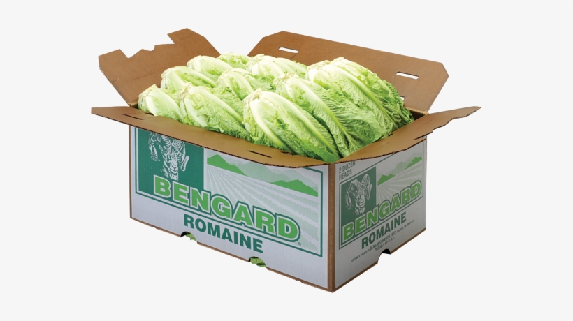 Romaine Lettuce - Bengard Ranch, Inc., transparent png #980845
