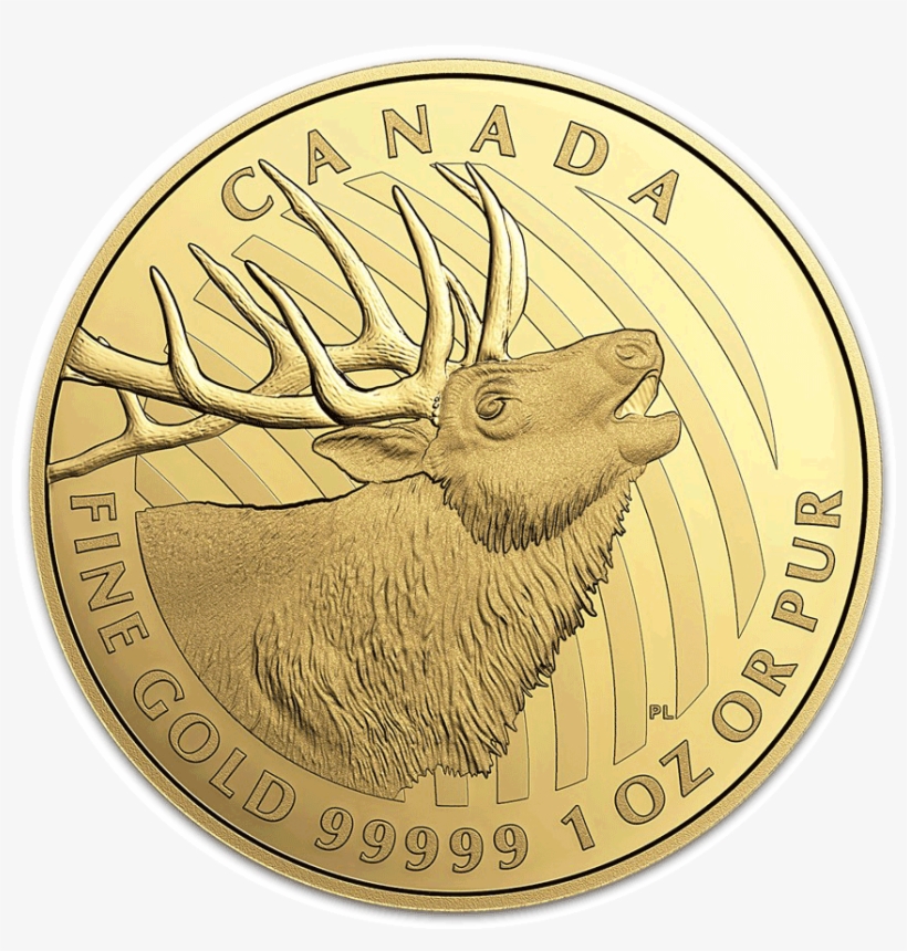 2017 "bugling Elk" Canadian Gold Coin, transparent png #980847