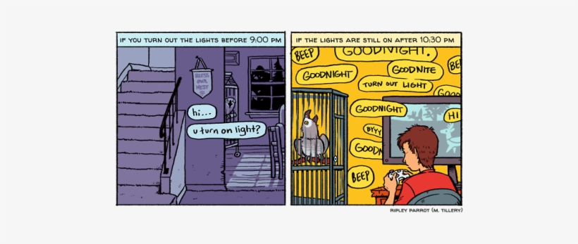 Ripley Is Serious About Bed Time - Ripley Parrot Comic, transparent png #981894