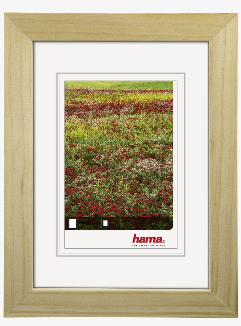 "foggia" Wooden Frame, Natural-coloured, 40 X 50 Cm - Hama Foggia - Photo Frame - 11x13.8 In (28x35 Cm) -, transparent png #982513