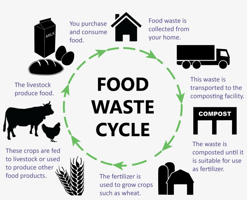 Food Waste Cycle Web4 - Save A Cow Eat A Vegan Note Cards, transparent png #982935