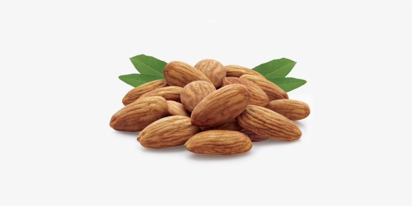 Almonds - Cashew & Almond Png, transparent png #983151