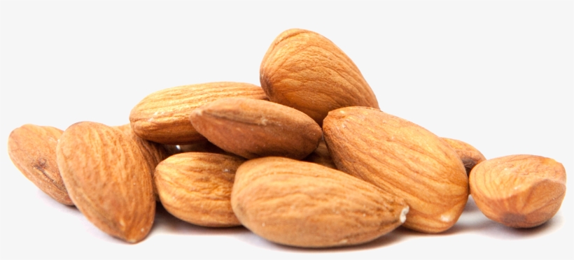 Image Info And Credits - Almond Png, transparent png #983355