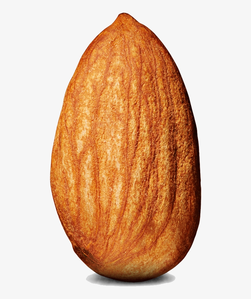 Almond Single - Almond Fire Emblem, transparent png #983395