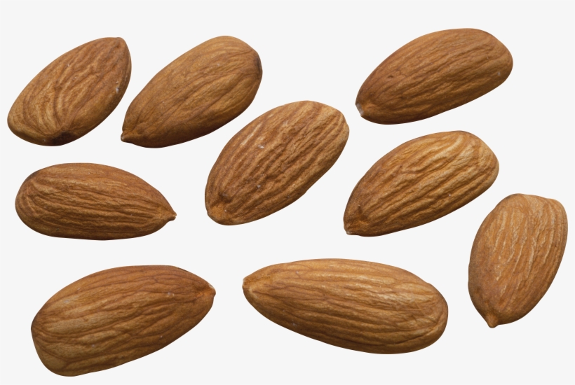 Blanched Almonds, transparent png #983420