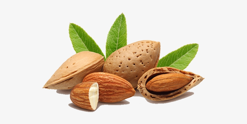 Almond - Thesoapery Sweet Almond Oil - 1 Litre Cosmetic Grade, transparent png #983446