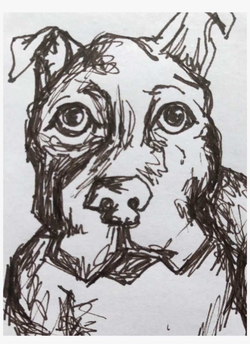 Christy Almond "spike" Pen & Ink Drawing - Library, transparent png #983492