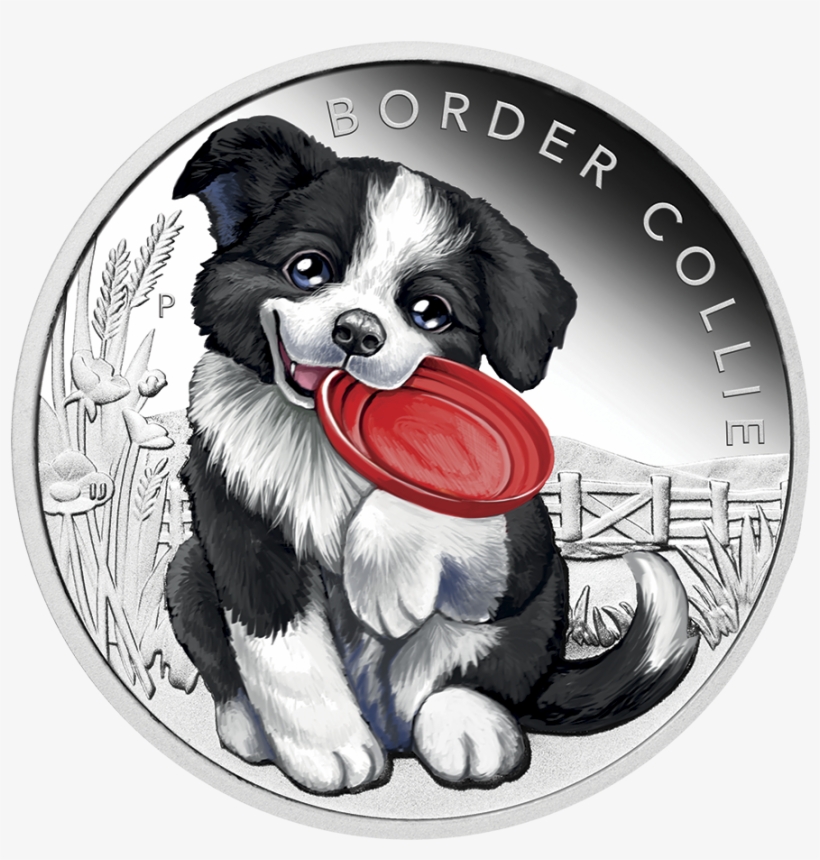 Silver Coin "puppies - 邊境 牧羊 犬 商品, transparent png #983904