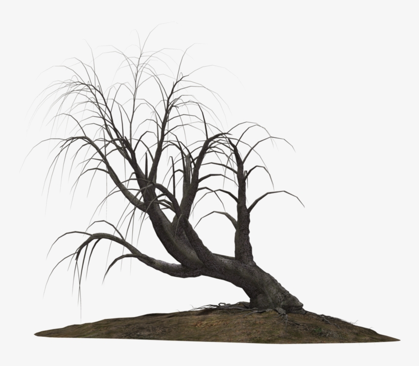 Creepy Tree 21 By Wolverine041269 On Clipart Library - Creepy Trees Png, transparent png #983967