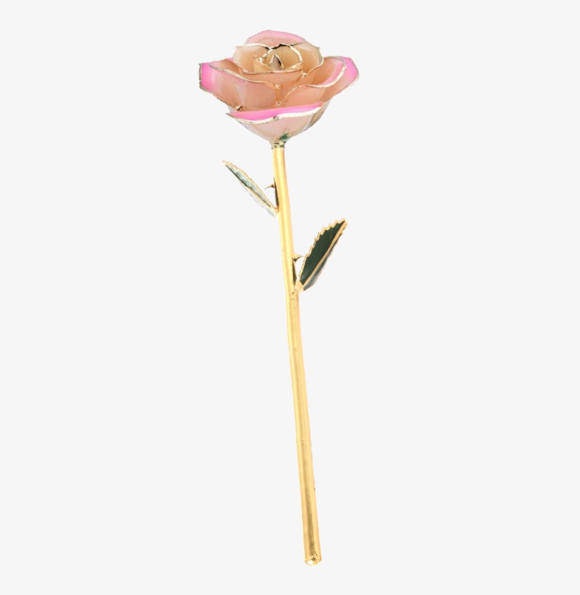Daya Love Forever Long Stem 24k Gold Foil Trim Red - Artificial Flower, transparent png #983992