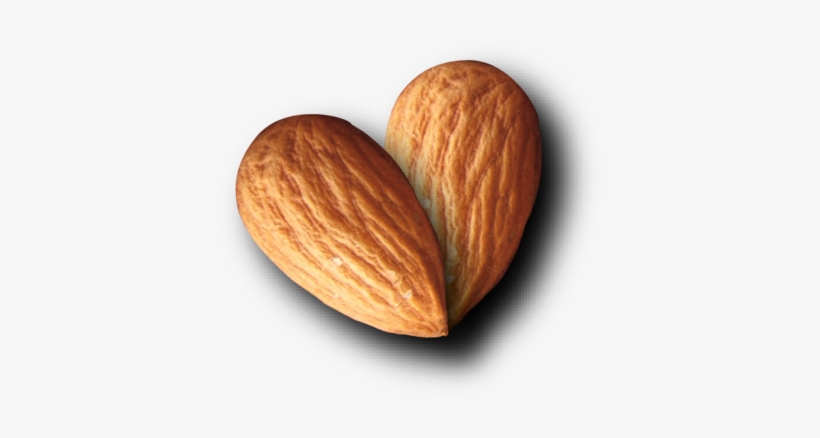 Almond Png - Almond Logo Png, transparent png #984034