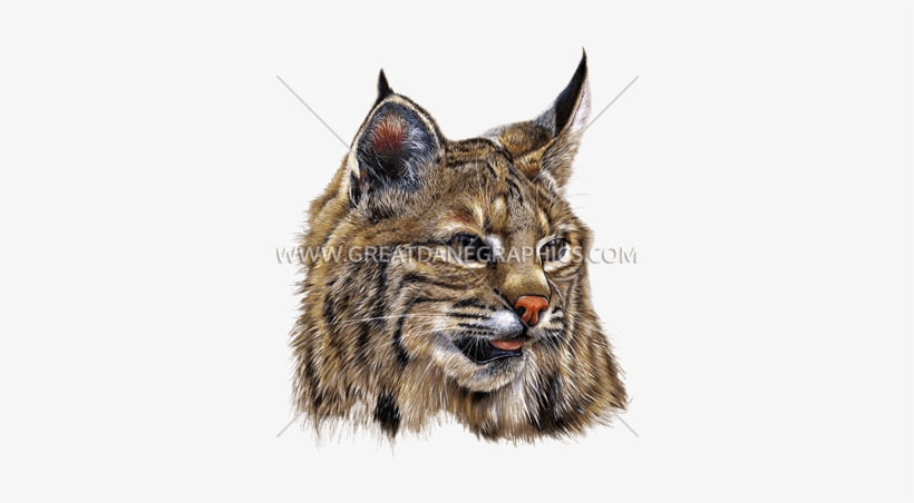 Bobcat - Decal, transparent png #984598