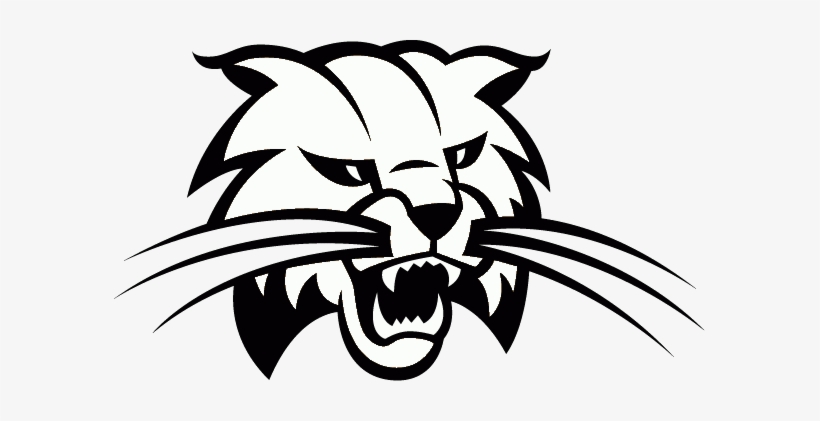 Cambridge Bobcats - Bowling Green Bobcats, transparent png #984645