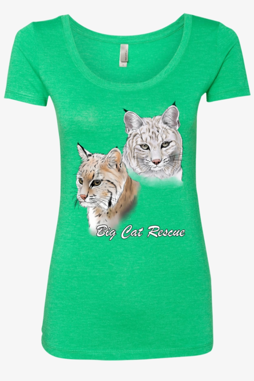 Bcr The Biscuit Bobcats Nl6730 Next Level Ladies' Triblend - Merica Fuck Yea Ladies Scoop, transparent png #984708