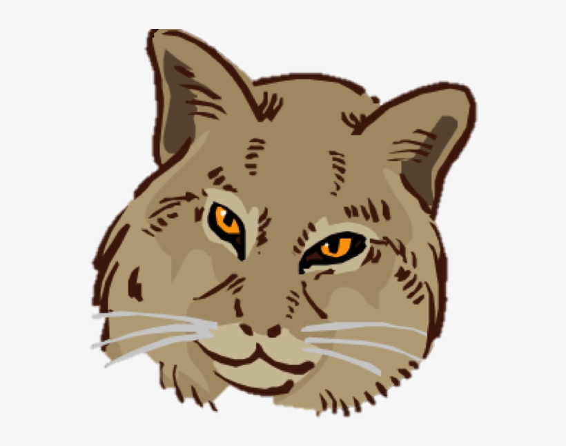 Big Elm Bobcat - Big Elm Elementary School, transparent png #984825