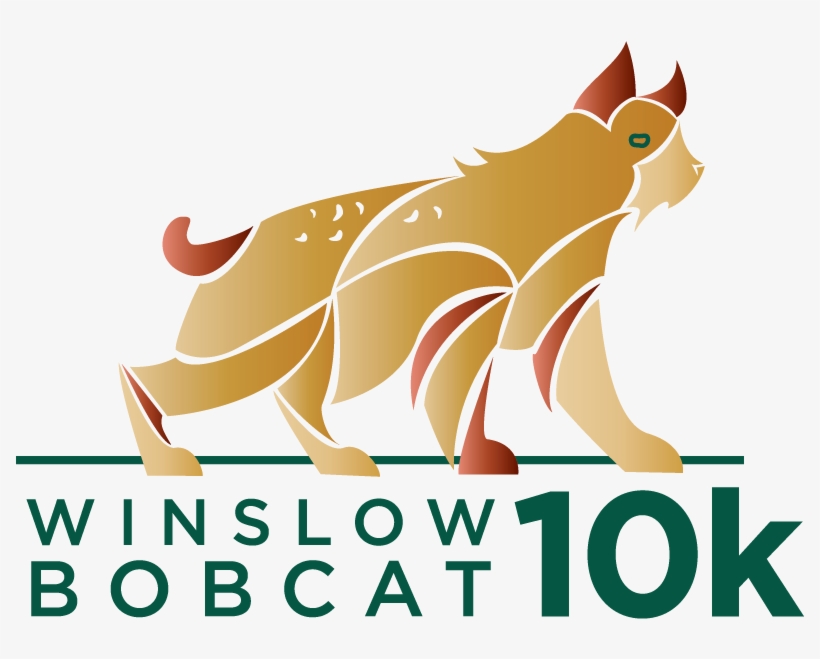 Winslow Bobcat 10k - Cat Yawns, transparent png #984899