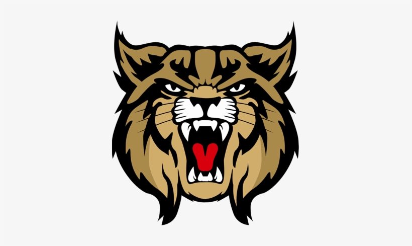 Brookings High School, transparent png #985076