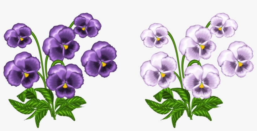Watercolor Flower Clipart - Clip Art Violets, transparent png #985487