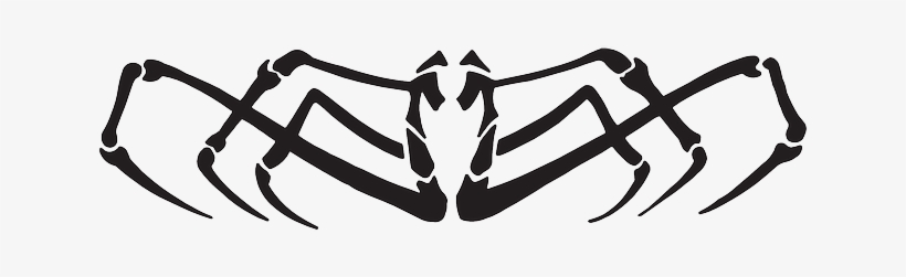 View, Spider, Body, Side, Art, Legs, Arachnid - Spider Vector, transparent png #985654