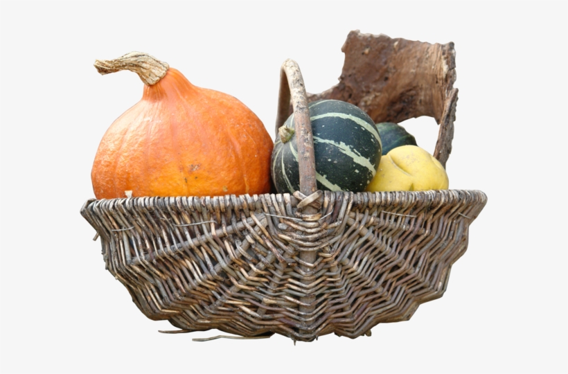 Pumpkin Png By Gd08 - Pumpkin, transparent png #987358